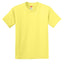 Hanes® - Youth Authentic 100%  Cotton T-Shirt.  5450