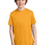 Port & Company® Youth Performance Tee. PC380Y
